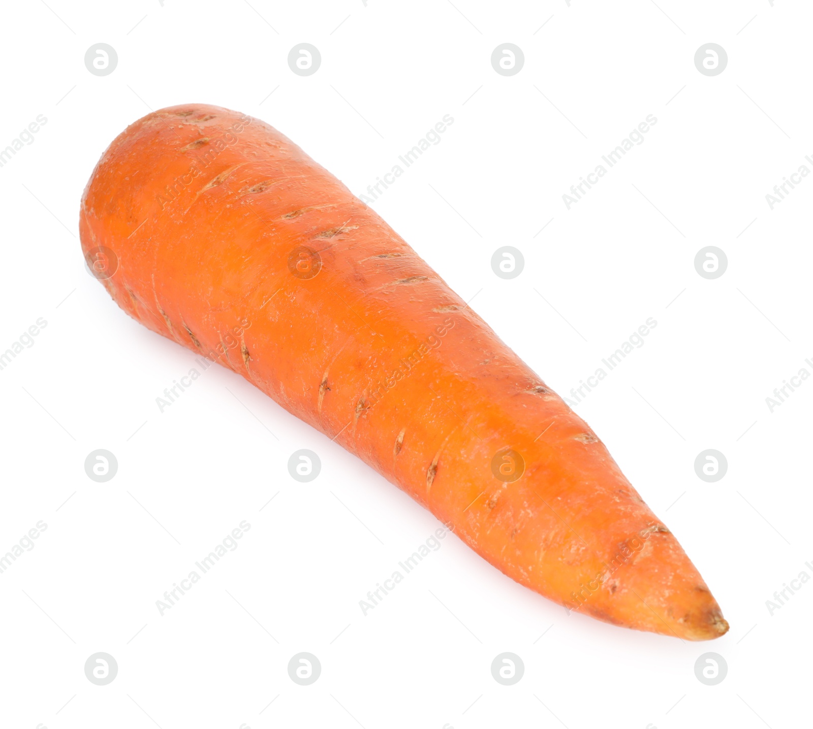 Photo of One fresh carrot isolated on white. Root vegetable