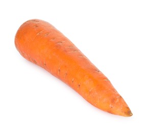 Photo of One fresh carrot isolated on white. Root vegetable