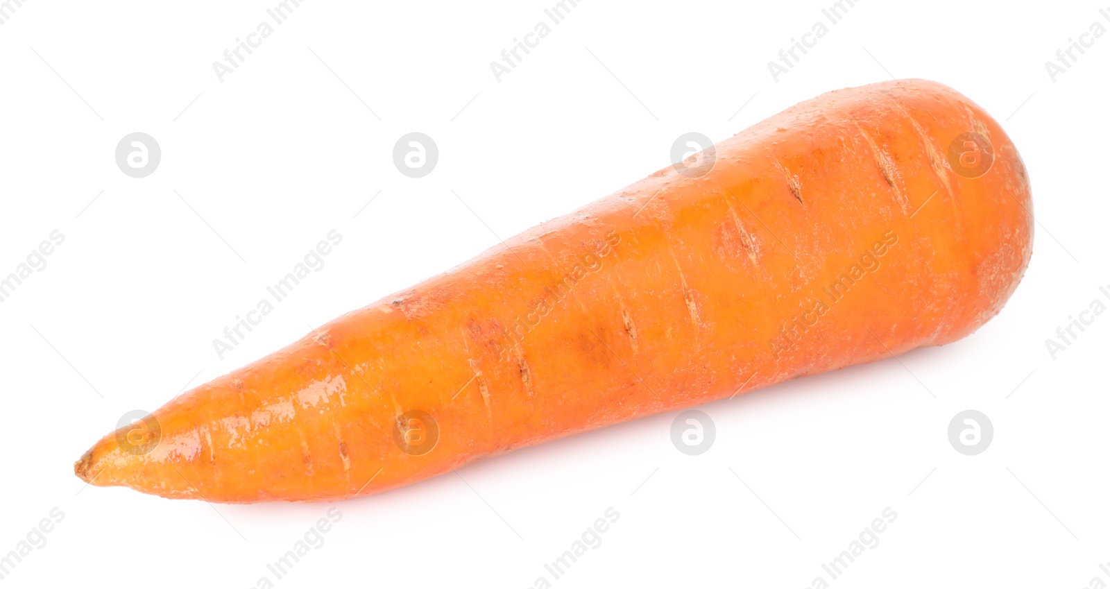 Photo of One fresh carrot isolated on white. Root vegetable