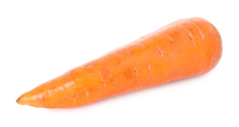 Photo of One fresh carrot isolated on white. Root vegetable