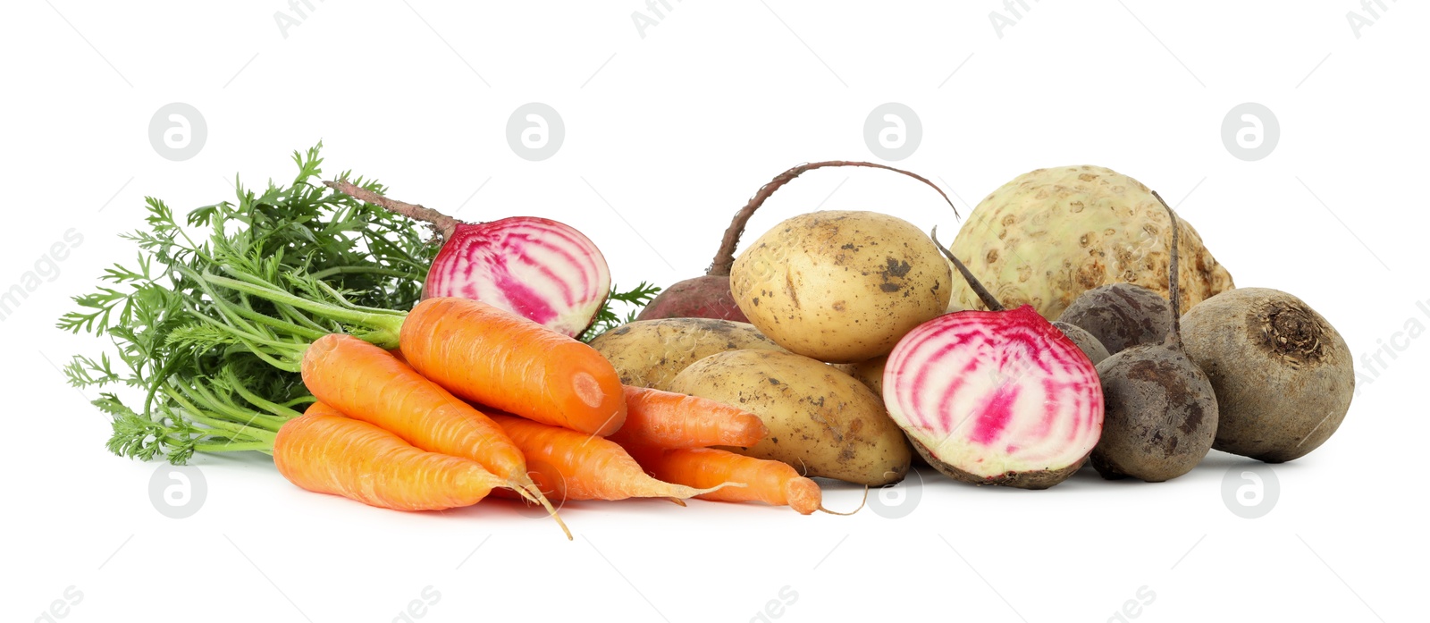 Photo of Many different root vegetables isolated on white