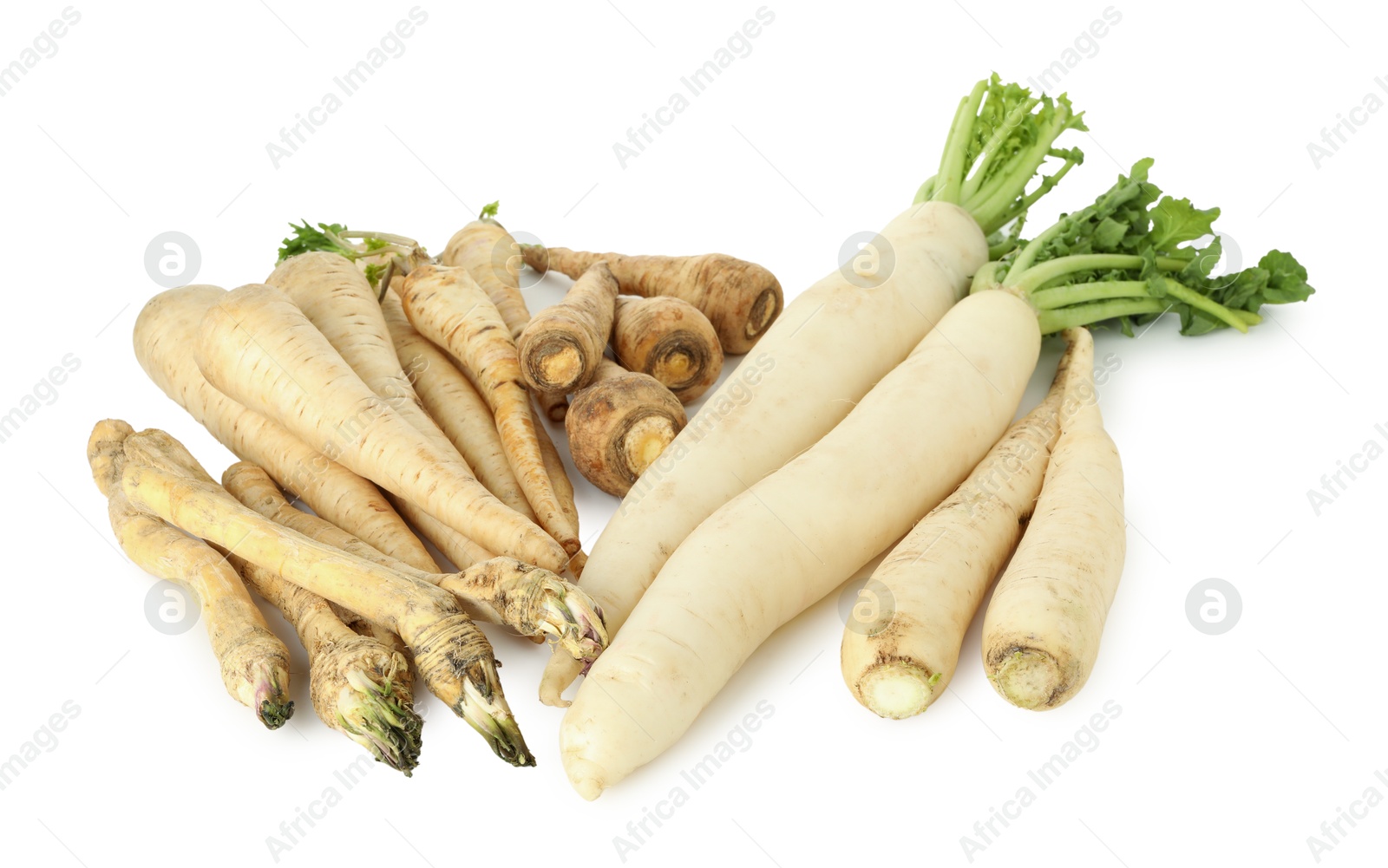 Photo of Many different root vegetables isolated on white