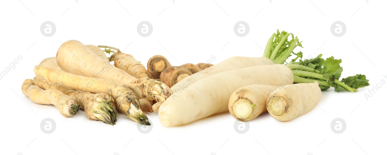 Photo of Many different root vegetables isolated on white