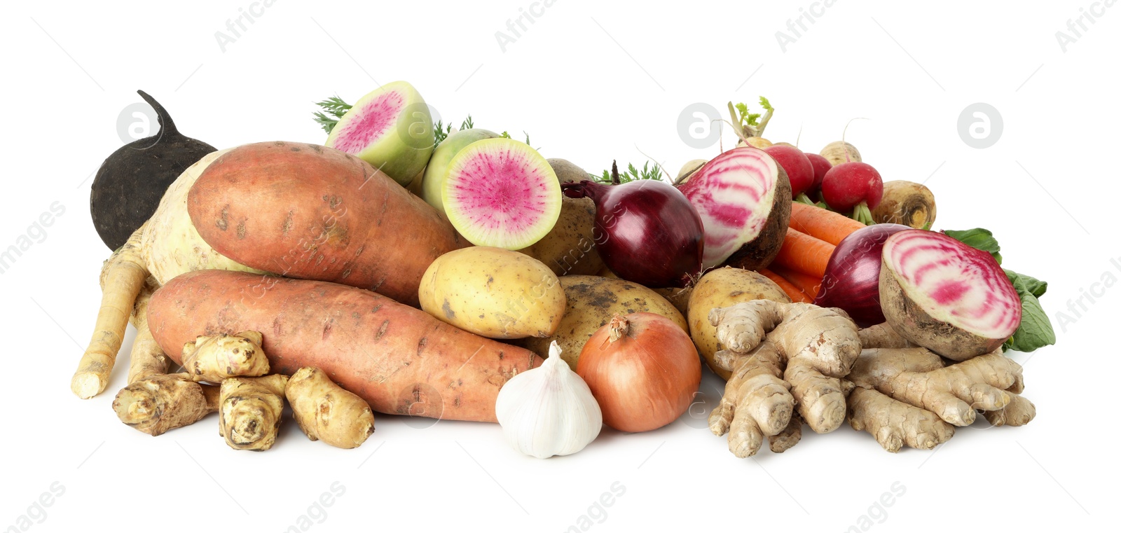 Photo of Many different root vegetables isolated on white