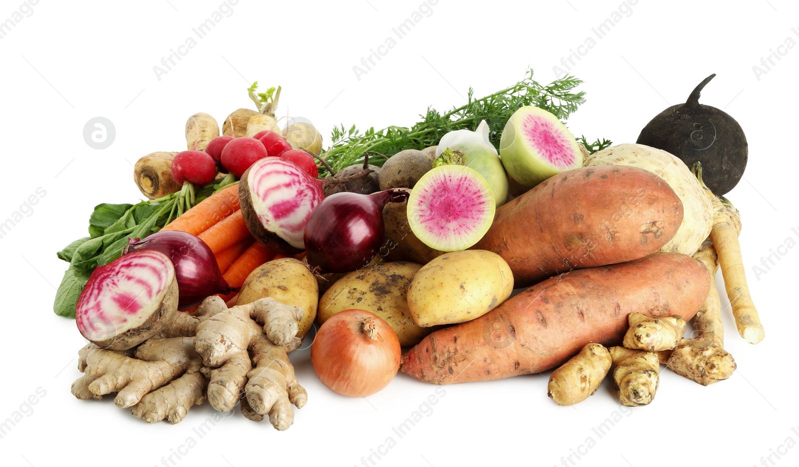 Photo of Many different root vegetables isolated on white