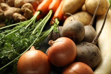 Photo of Different raw root vegetables as background, closeup