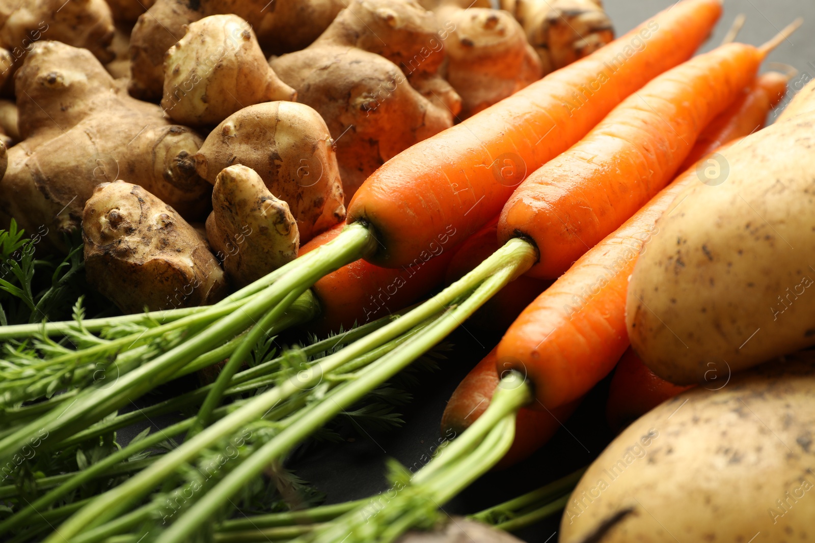 Photo of Different raw root vegetables on grey table, closeup