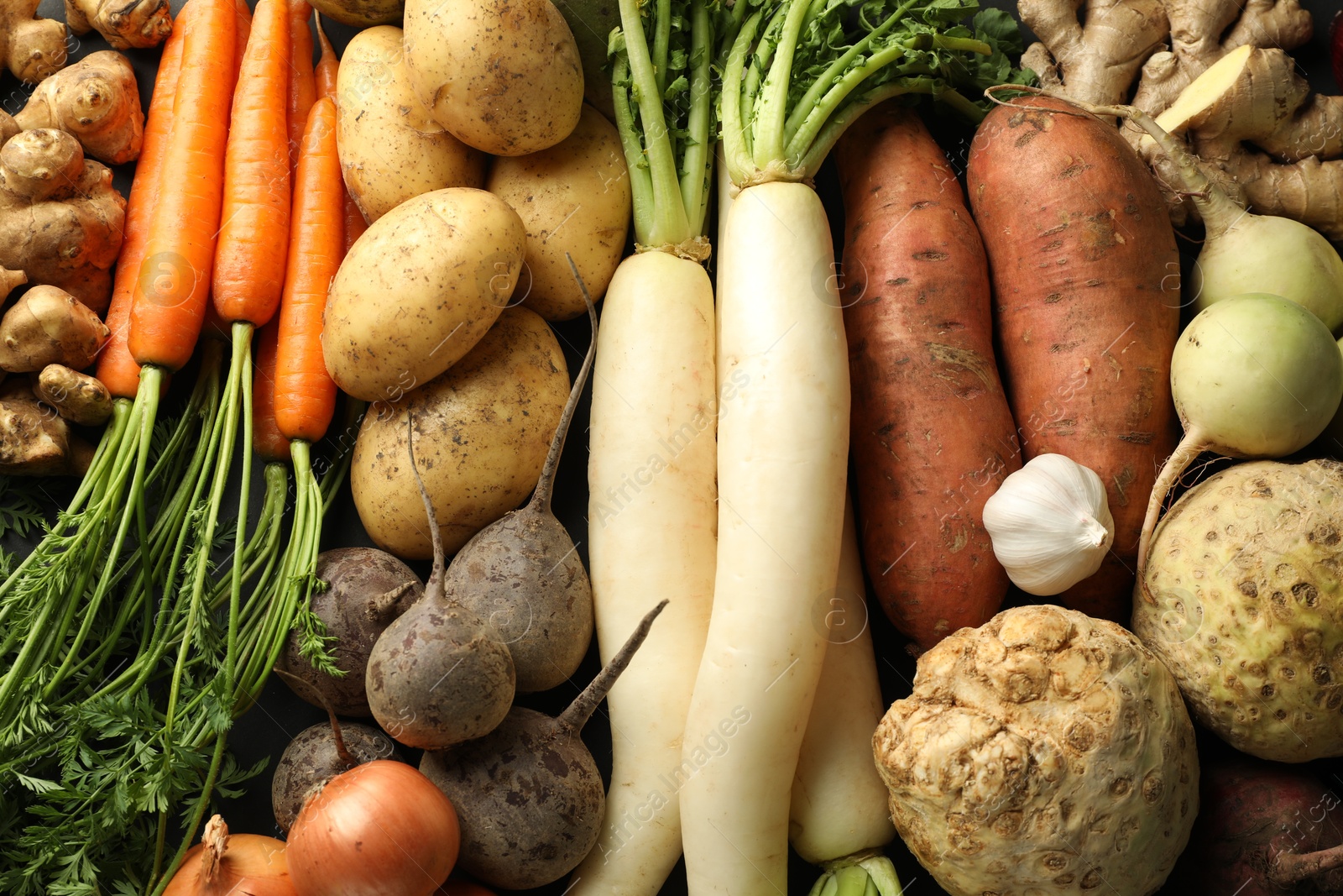 Photo of Different raw root vegetables as background, top view