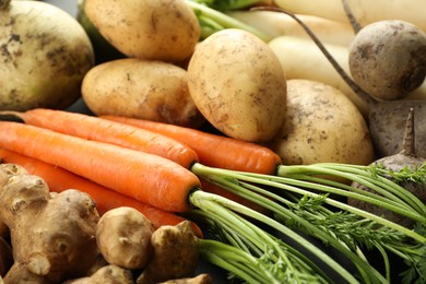 Photo of Different raw root vegetables as background, closeup