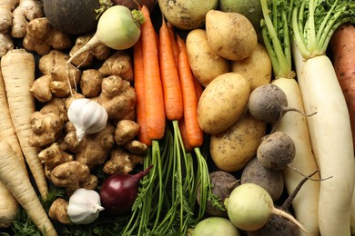 Photo of Different raw root vegetables as background, top view