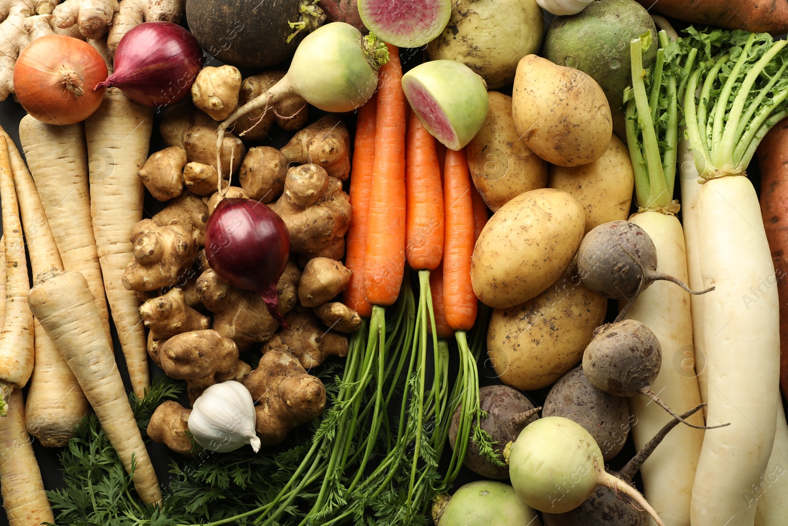 Photo of Different raw root vegetables as background, top view