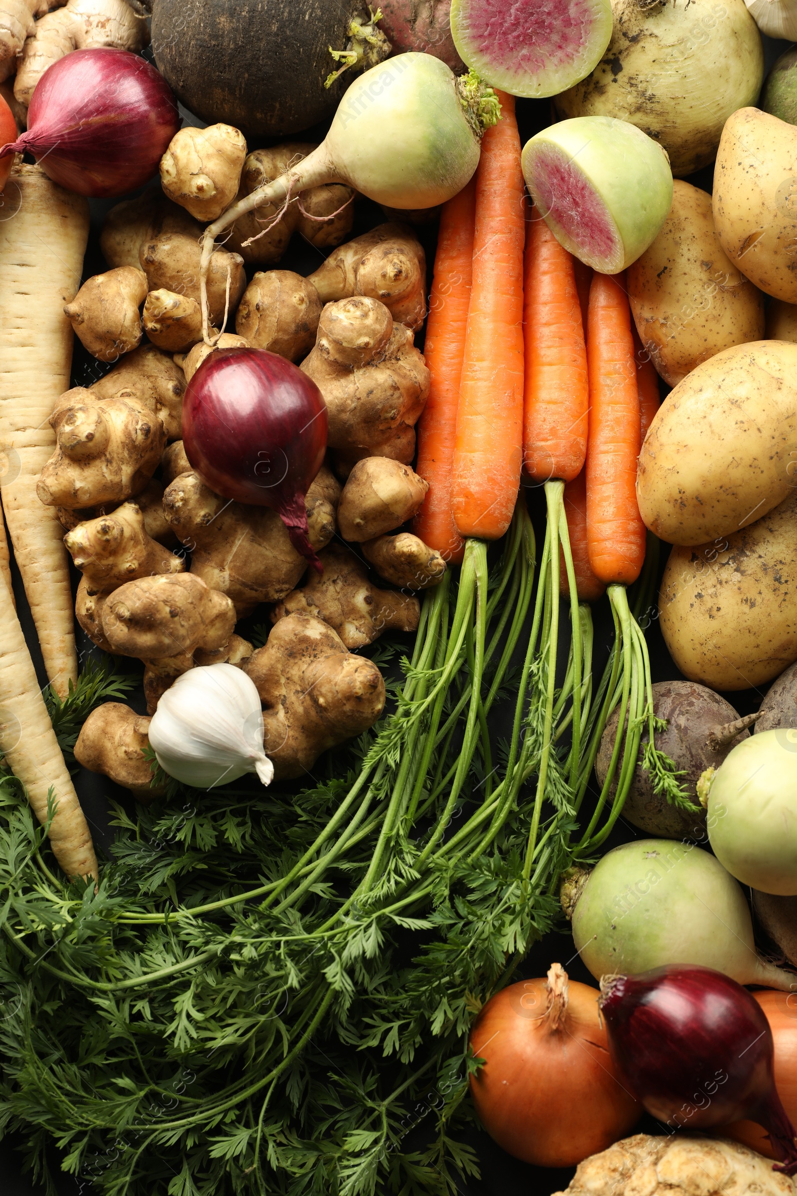 Photo of Different raw root vegetables as background, top view