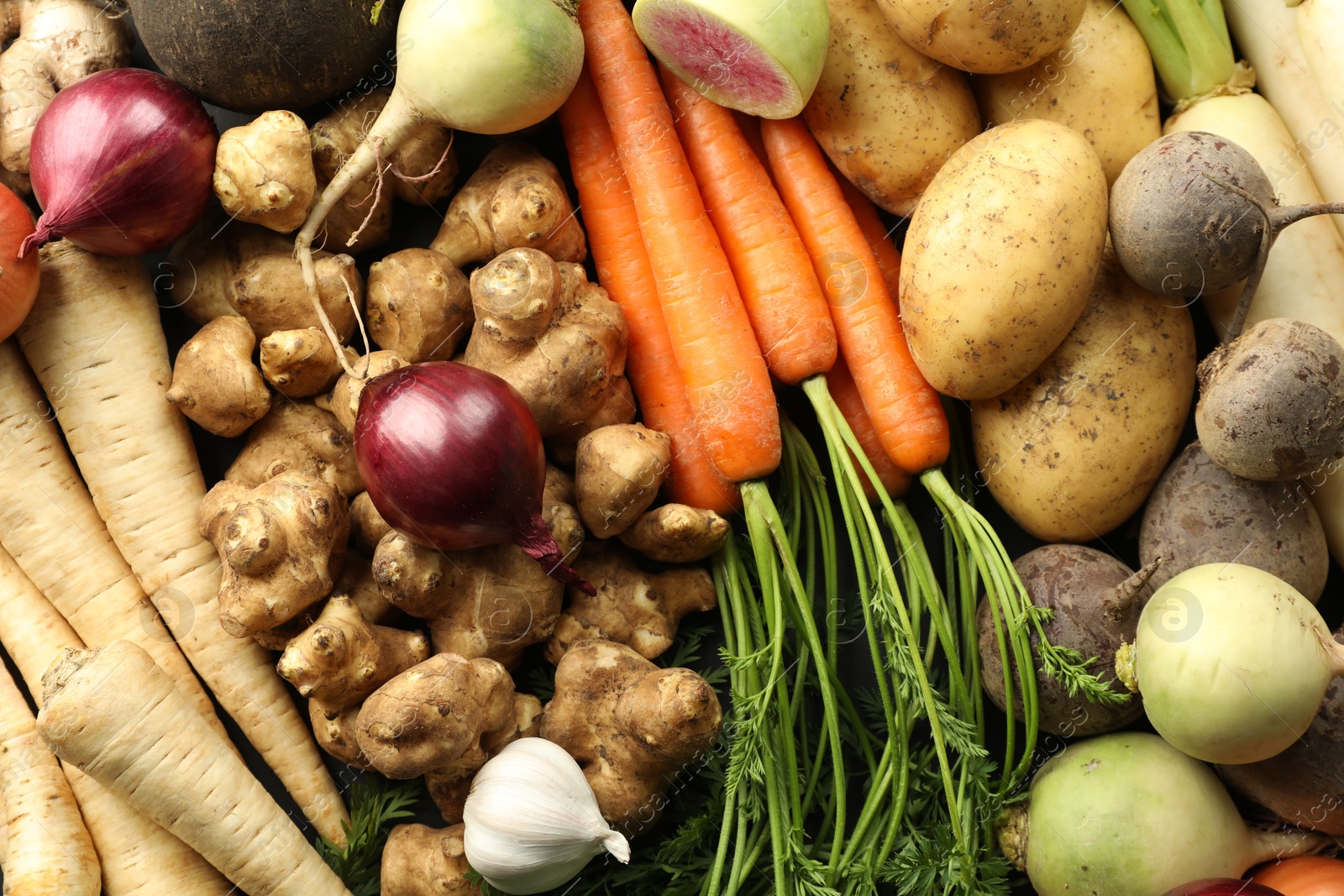 Photo of Different raw root vegetables as background, top view