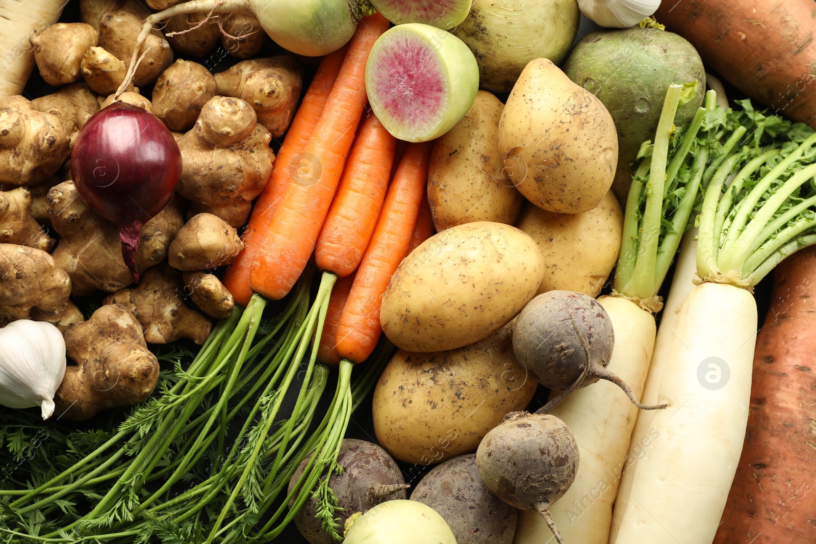 Photo of Different raw root vegetables as background, top view