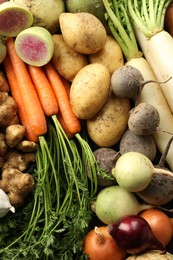 Photo of Different raw root vegetables as background, top view