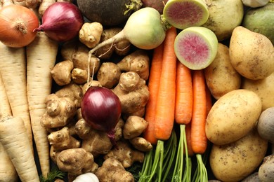 Photo of Different raw root vegetables as background, top view