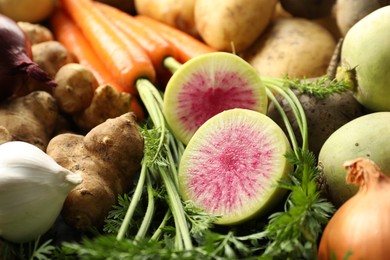 Photo of Different raw root vegetables as background, closeup