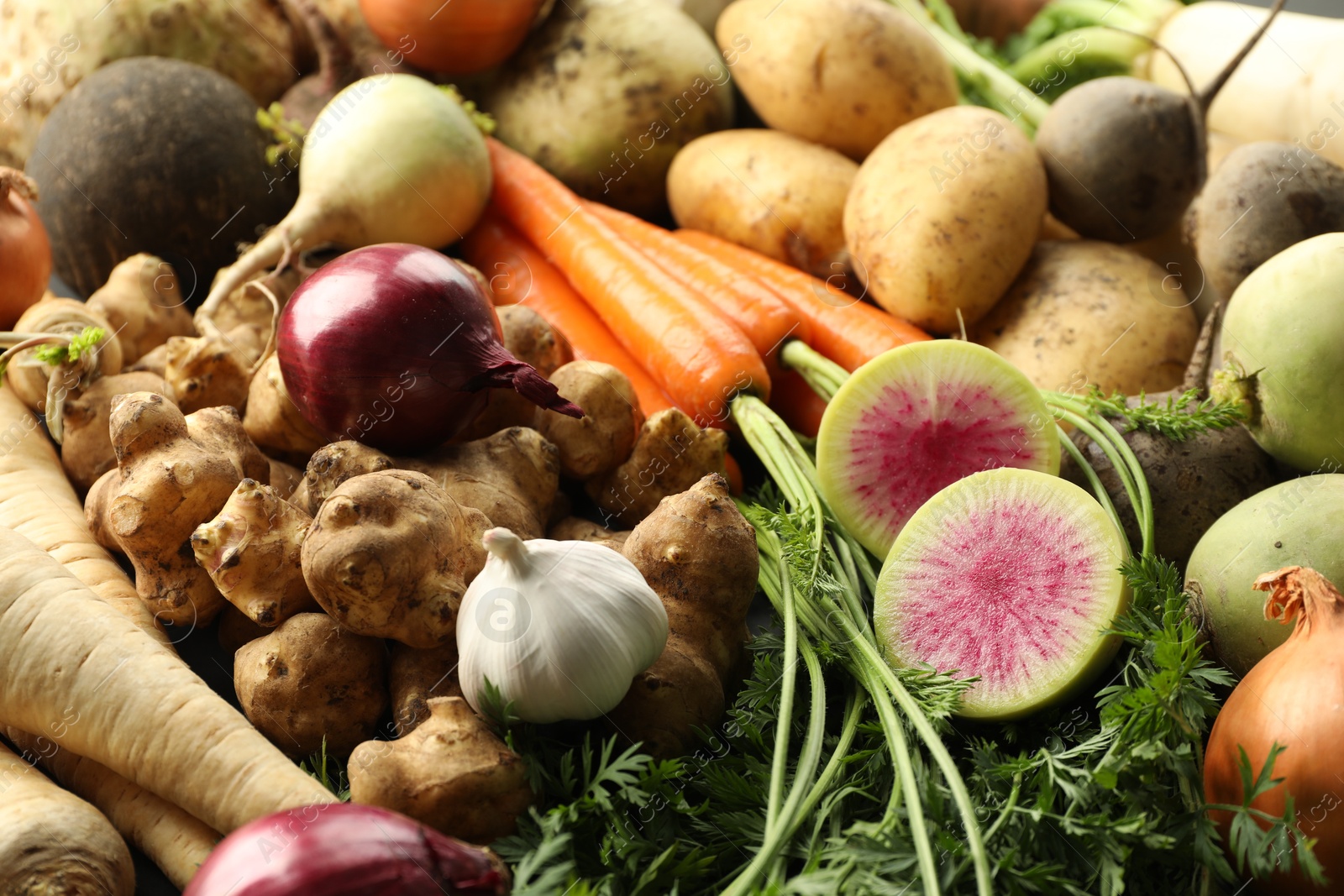 Photo of Different raw root vegetables as background, closeup