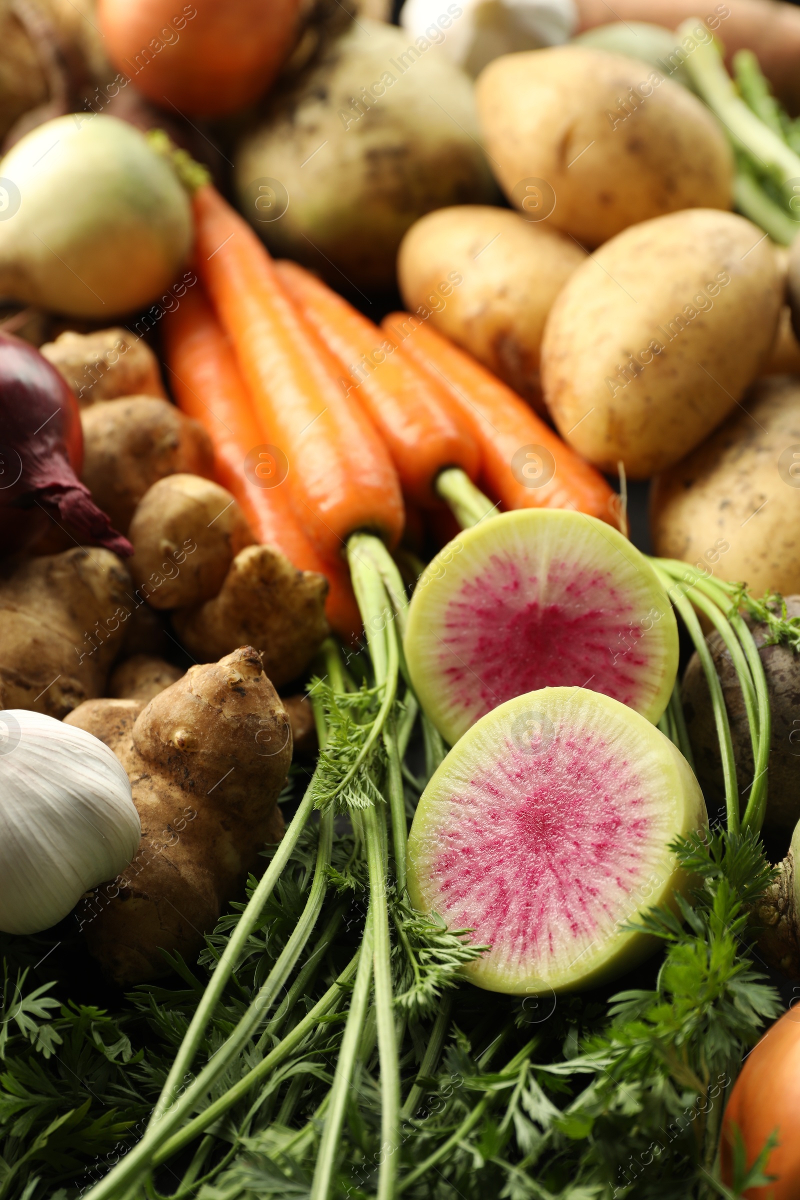 Photo of Different raw root vegetables as background, closeup