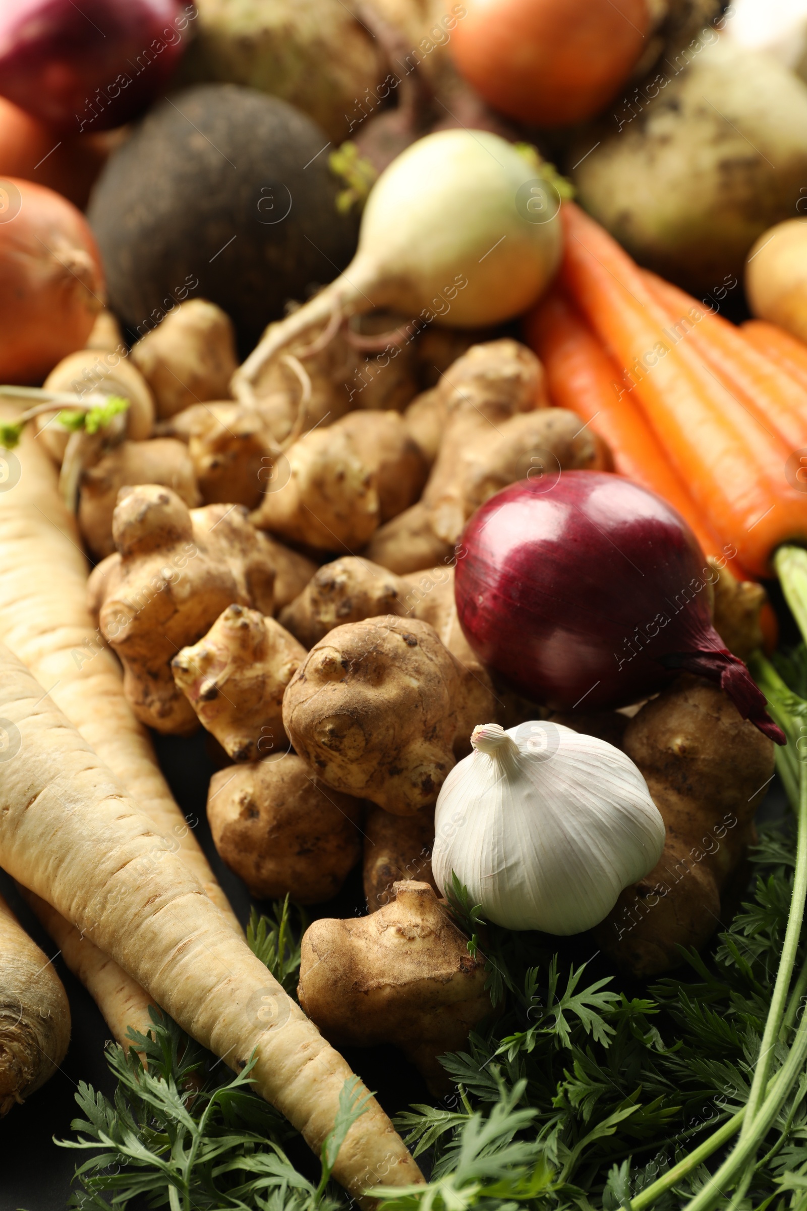 Photo of Different raw root vegetables as background, closeup