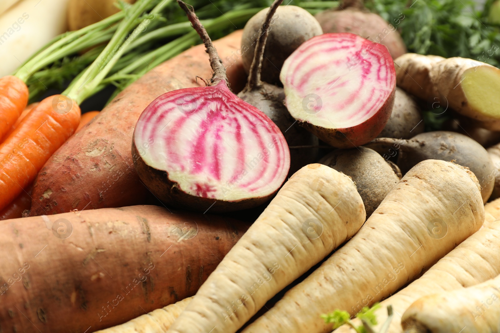 Photo of Different raw root vegetables as background, closeup