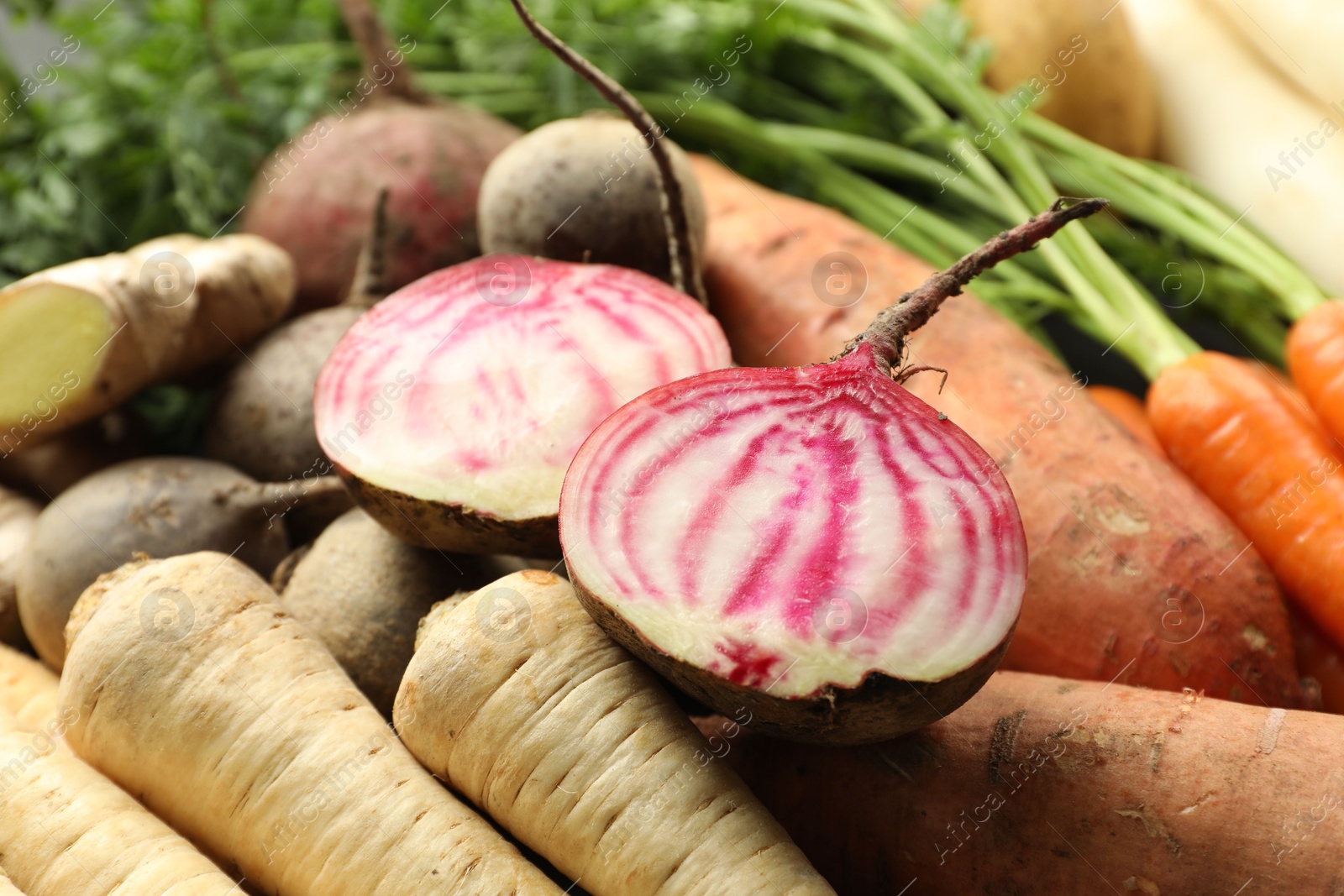 Photo of Different raw root vegetables as background, closeup