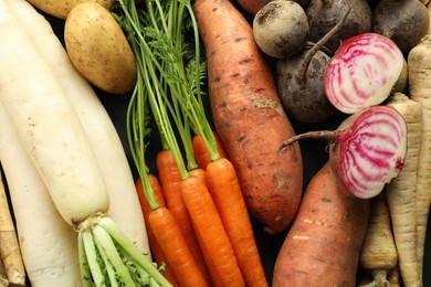 Photo of Different raw root vegetables as background, top view