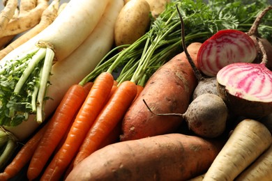 Photo of Different raw root vegetables as background, closeup