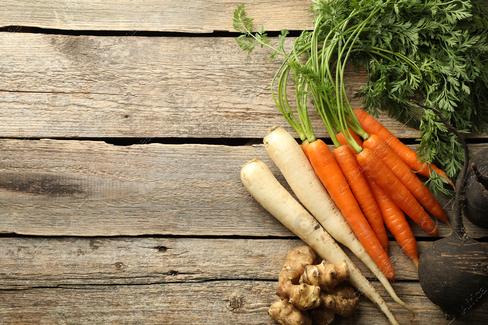 Photo of Different root vegetables on wooden table, flat lay. Space for text