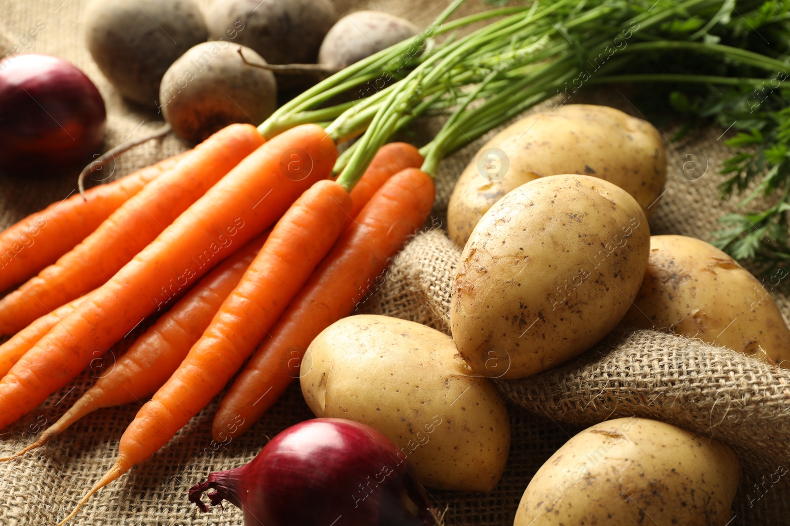 Photo of Different root vegetables on burlap fabric, closeup