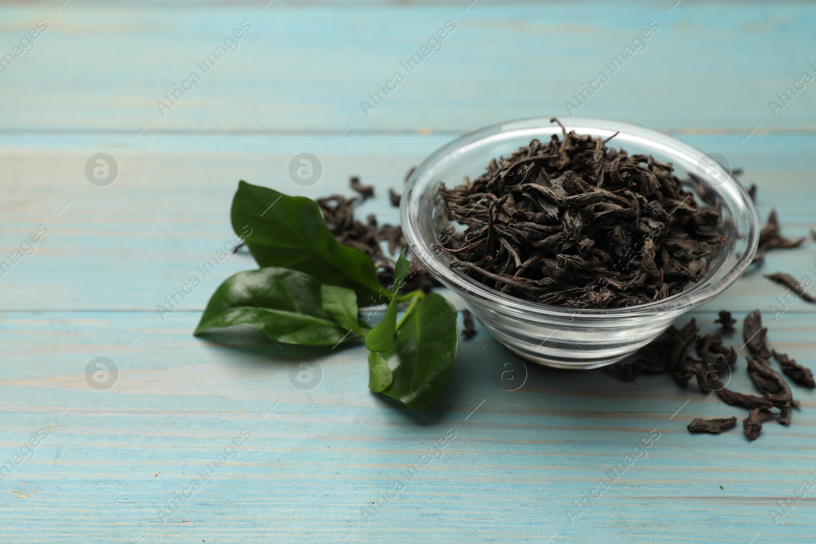 Photo of Dried and fresh tea leaves on blue wooden table, closeup