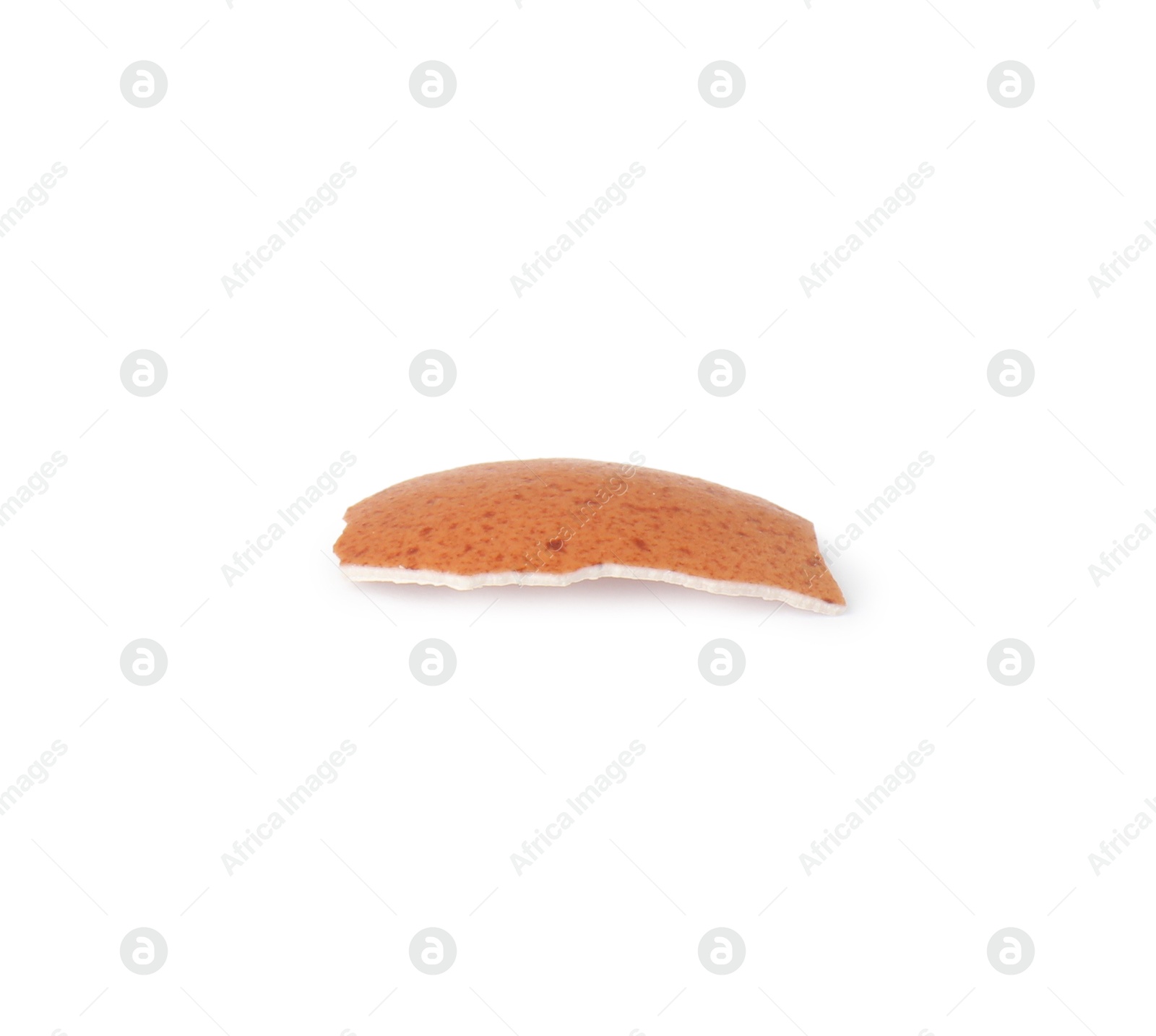 Photo of One piece of broken eggshell isolated on white