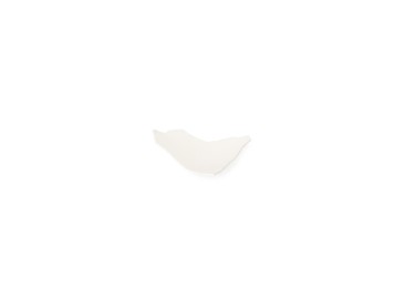 Photo of One piece of broken eggshell isolated on white