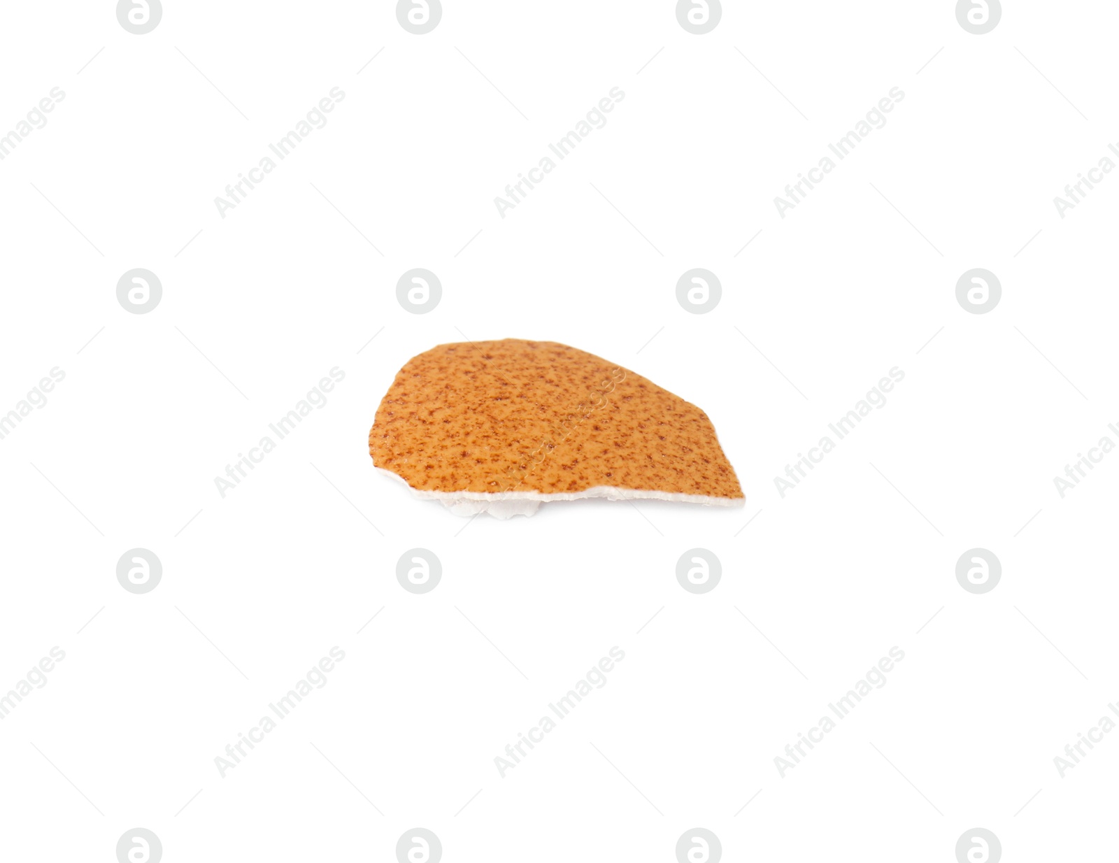 Photo of One piece of broken eggshell isolated on white