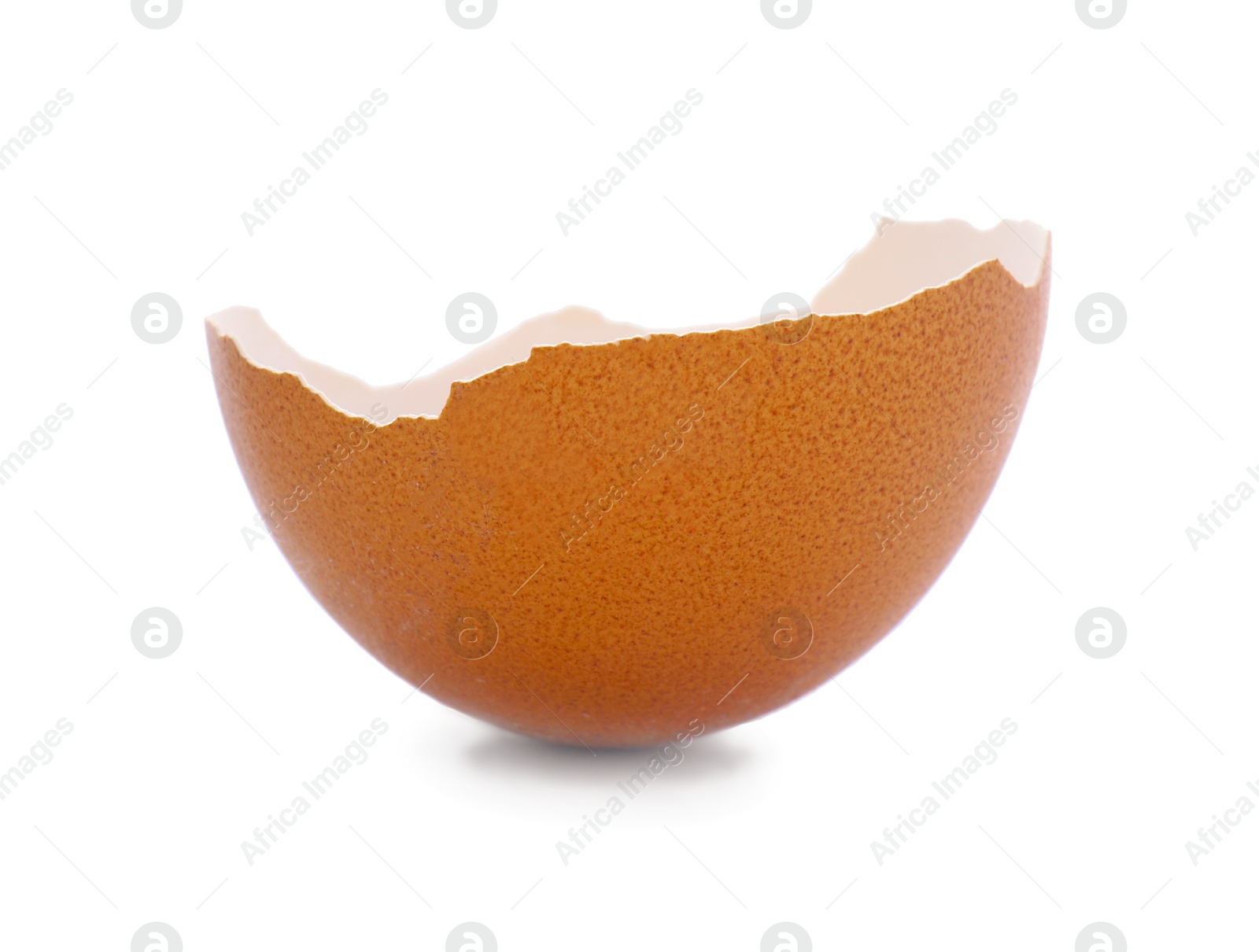 Photo of One piece of broken eggshell isolated on white