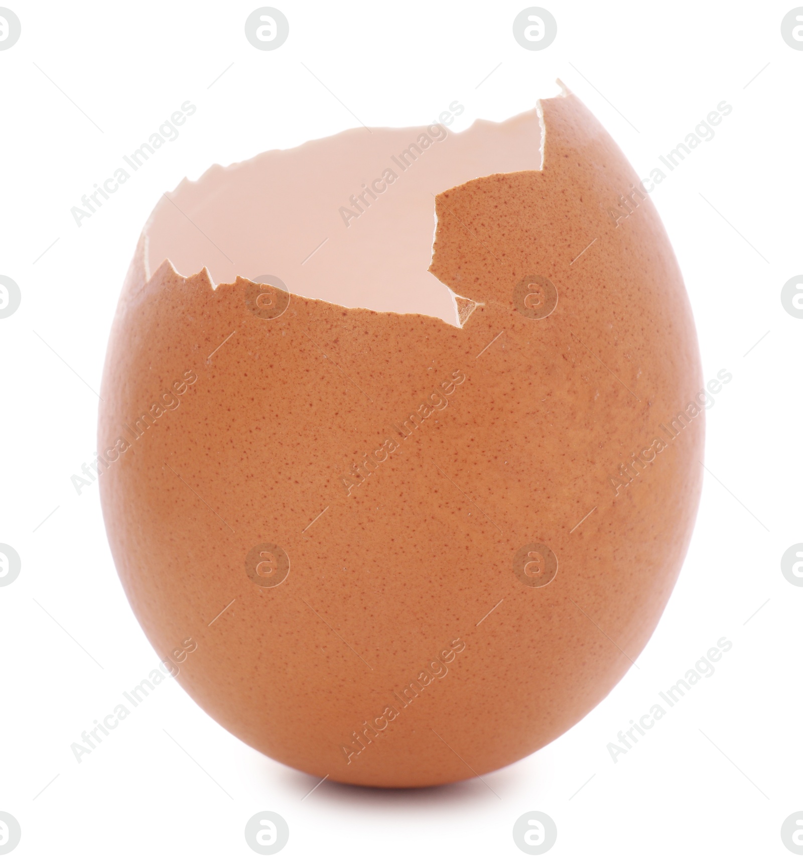 Photo of One piece of broken eggshell isolated on white