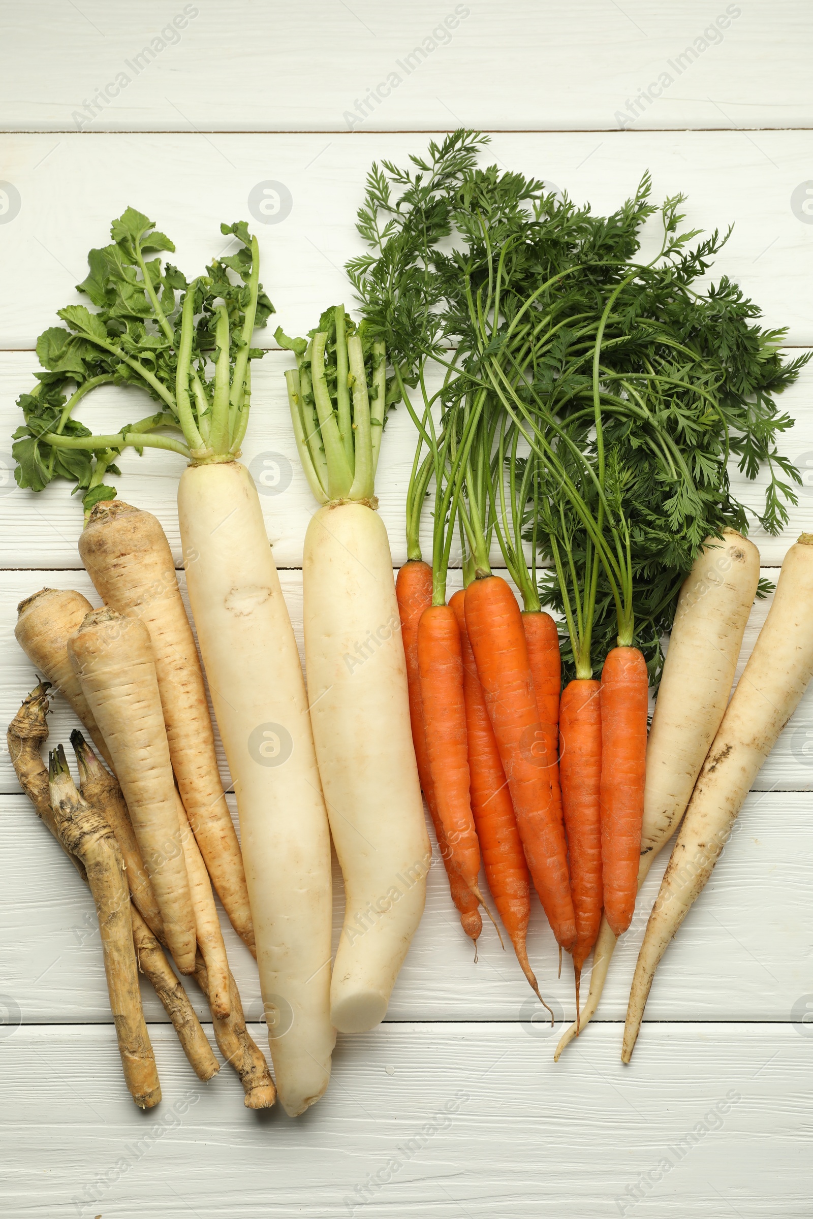 Photo of Different root vegetables on white wooden table, flat lay