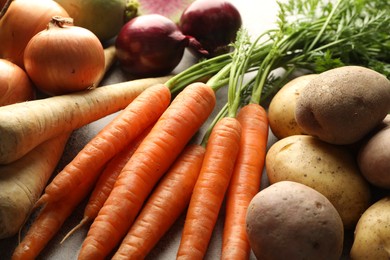 Photo of Different root vegetables on grey table, closeup