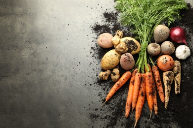 Photo of Different root vegetables and soil on grey table, flat lay. Space for text