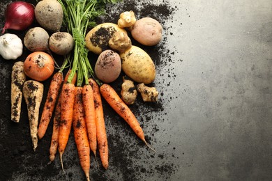 Photo of Different root vegetables and soil on grey table, flat lay. Space for text