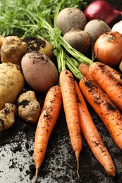 Photo of Different root vegetables and soil on grey table, closeup