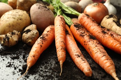 Photo of Different root vegetables and soil on grey table, closeup