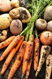 Photo of Different root vegetables and soil on grey table, flat lay