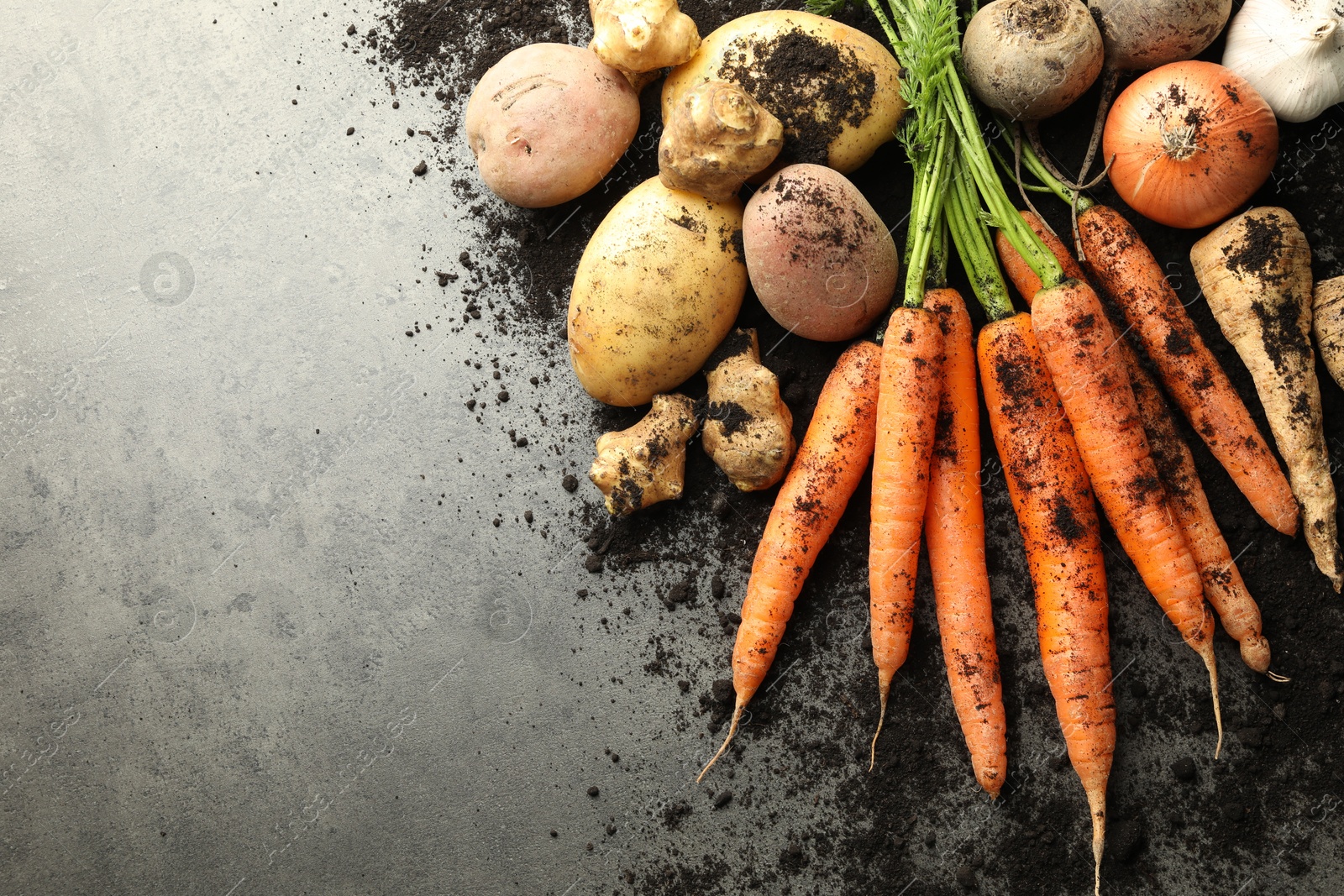 Photo of Different root vegetables and soil on grey table, flat lay. Space for text