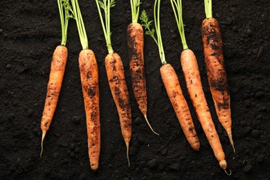 Photo of Many fresh raw carrots on soil, top view. Root vegetable