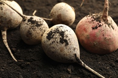 Photo of Many raw beetroots on soil, closeup. Root vegetable