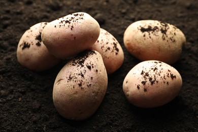 Photo of Many raw potatoes on soil, closeup. Root vegetable