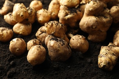 Photo of Many raw Jerusalem artichokes on soil, closeup. Root vegetable