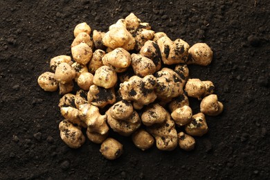 Photo of Many raw Jerusalem artichokes on soil, top view. Root vegetable