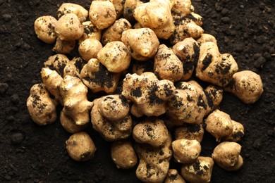 Photo of Many raw Jerusalem artichokes on soil, top view. Root vegetable